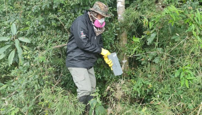 Foto: SESA-PR Secretaria da Saúde reforça vigilância e prevenção de agravos ligados a animais